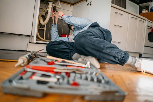 Best Affordable Plumber Near Me  in South San Jose Hills, CA